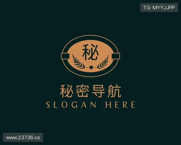 剖析秘密导航